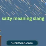 salty meaning slang