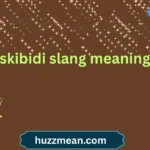 skibidi slang meaning