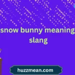 snow bunny meaning slang