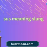 sus meaning slang