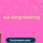 sus slang meaning
