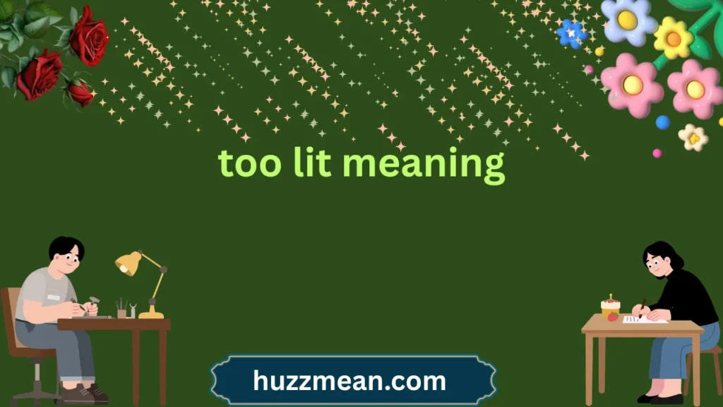 too lit meaning