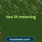 too lit meaning