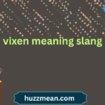 vixen meaning slang