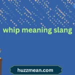 whip meaning slang