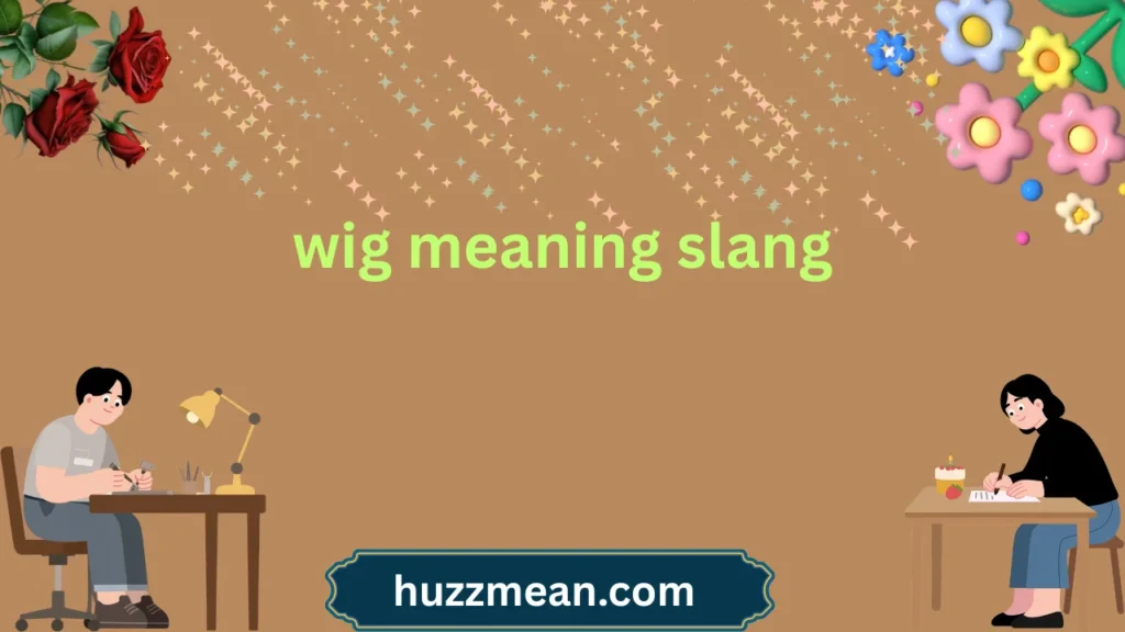 wig meaning slang