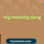 wig meaning slang