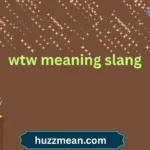 wtw meaning slang