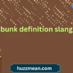 bunk definition slang