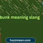 bunk meaning slang