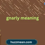 gnarly meaning