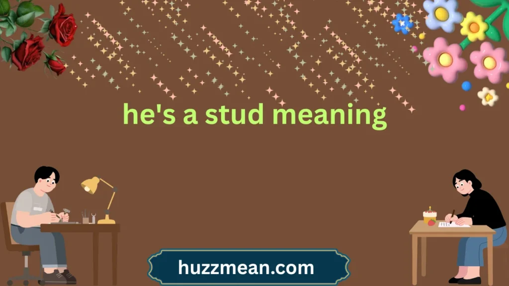 he's a stud meaning