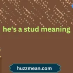 he's a stud meaning