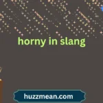 horny in slang