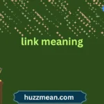 link meaning