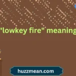"lowkey fire" meaning