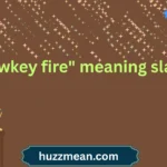 "lowkey fire" meaning slang
