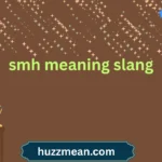 smh meaning slang