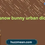 snow bunny urban dic