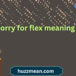 sorry for flex meaning