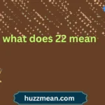 what does 22 mean