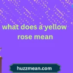 what does a yellow rose mean