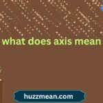 what does axis mean