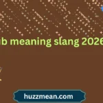 dub meaning slang