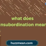 what does insubordination mean
