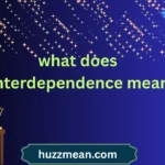 what does interdependence mean