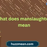 what does manslaughter mean