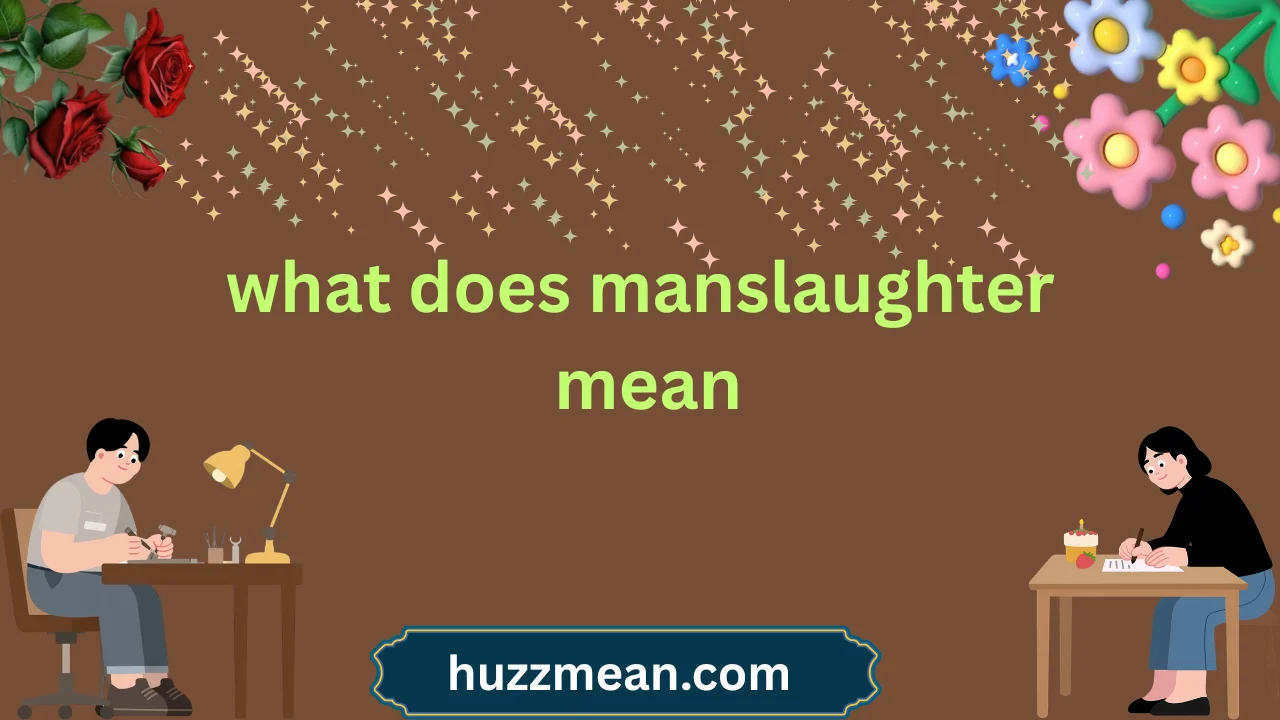 what does manslaughter mean