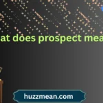 what does prospect mean