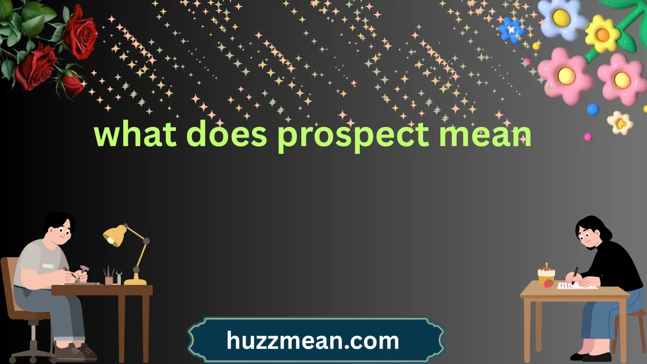 what does prospect mean