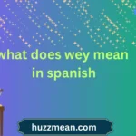 what does wey mean in spanish