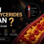 what do high triglycerides mean