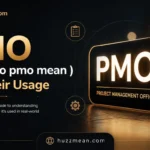 what do pmo mean
