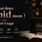 what does ibid mean