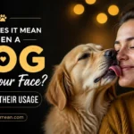 what does it mean when a dog licks your face