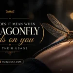 what does it mean when a dragonfly lands on you