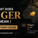 what does niger mean