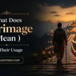 what does pilgrimage mean