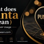 what does punta mean