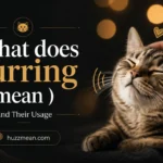 what does purring mean