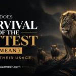 what does survival of the fittest mean