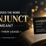 what does the word conjunct mean?