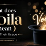 what does voila mean